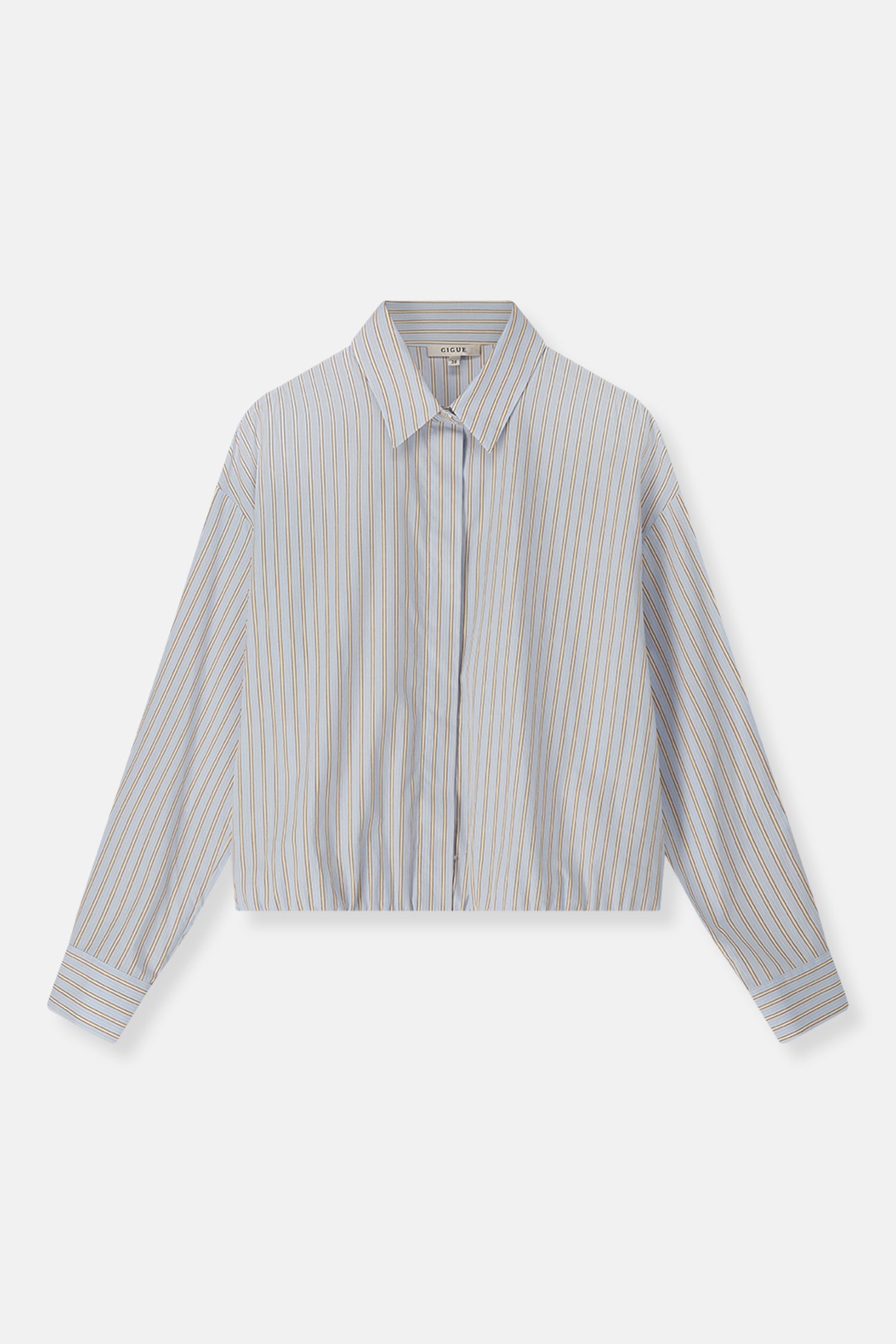 Hidem bruine streep bloes