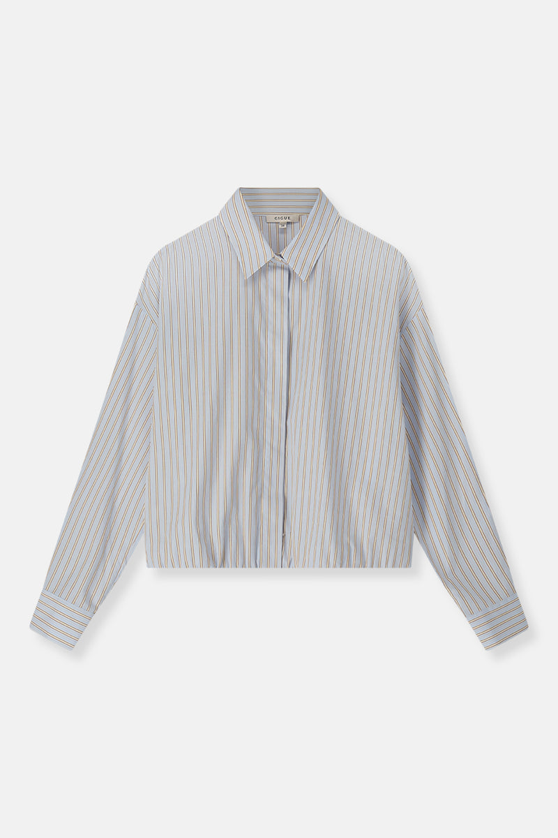 Hidem bruine streep bloes