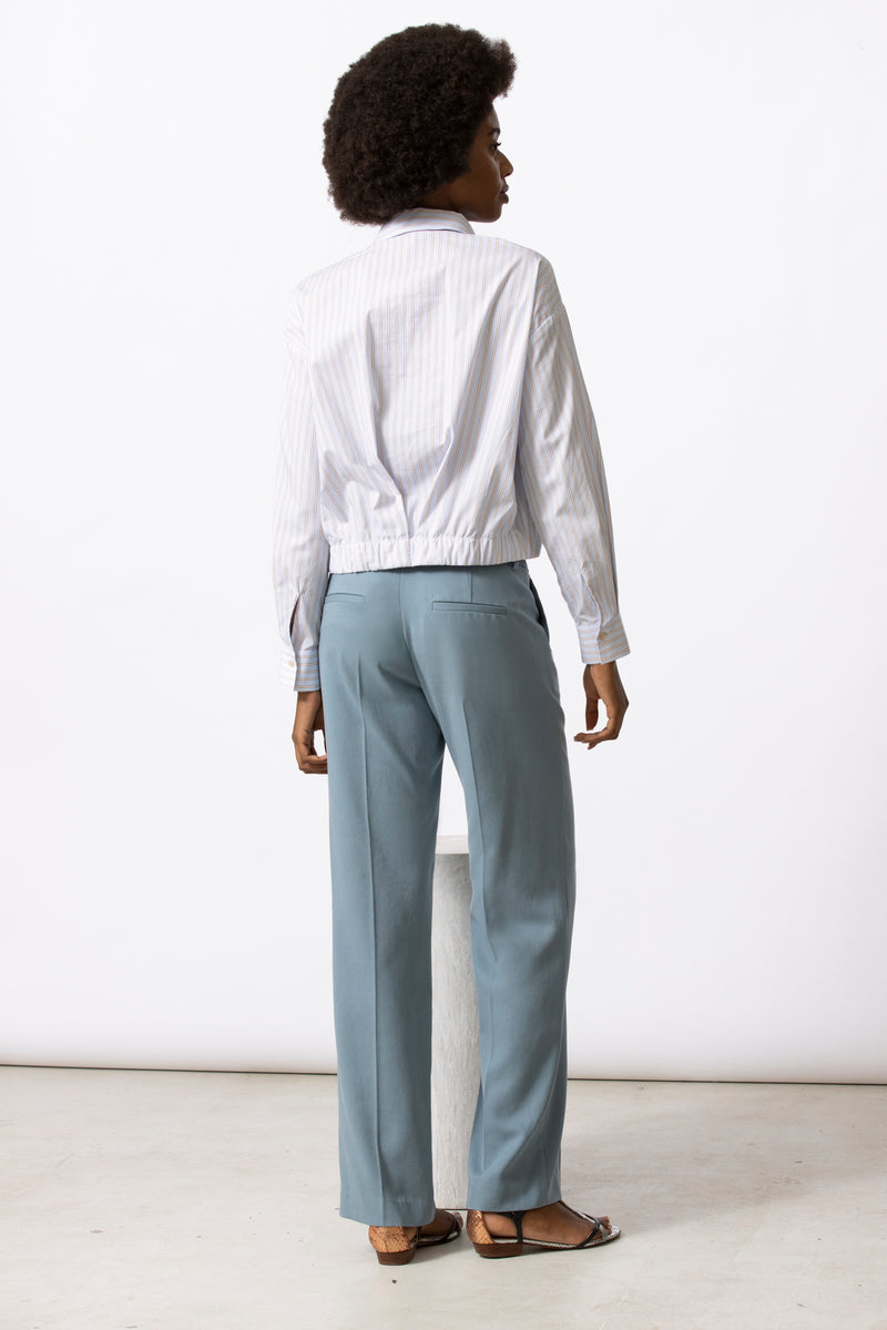 Hidem bruine streep bloes